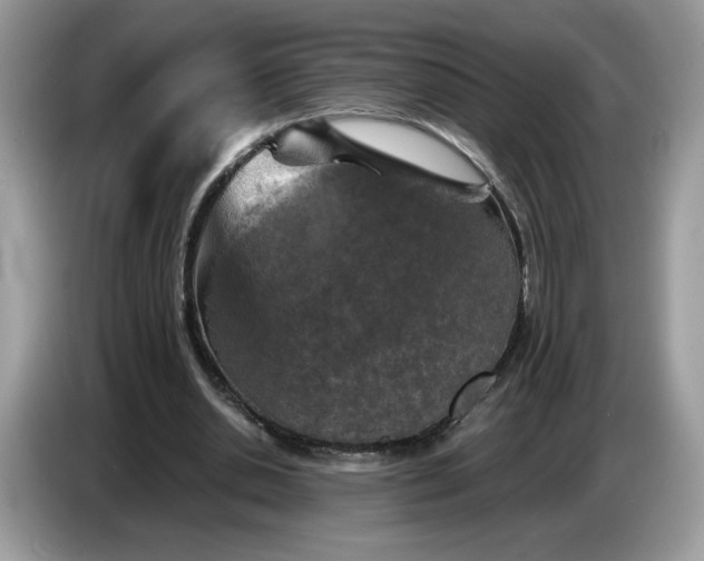 X0000086760438200704271733