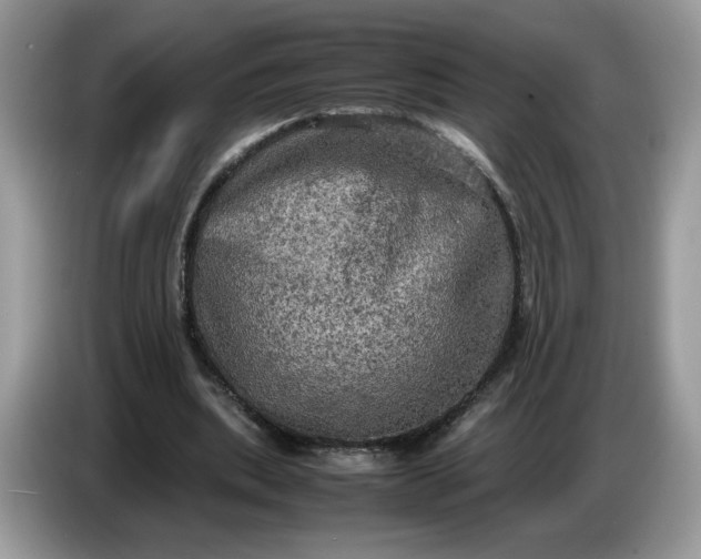 X0000086760439200704271733