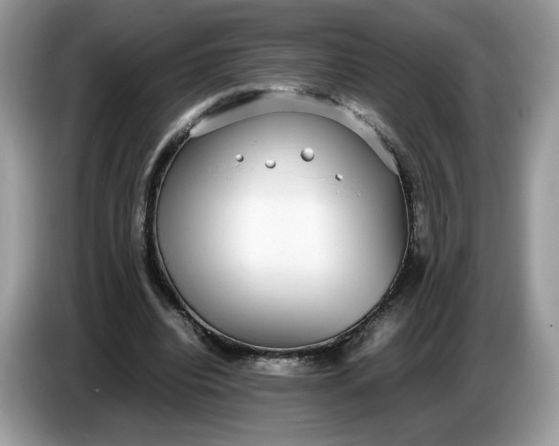 X0000086760440200704271733