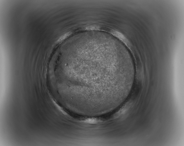 X0000086760441200704271733