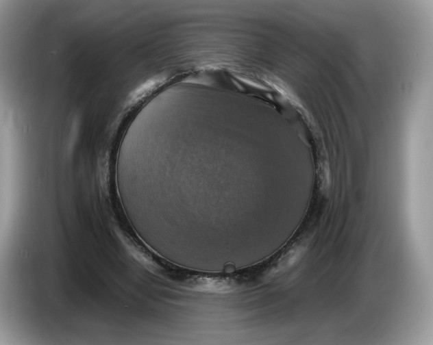 X0000086760442200704271733