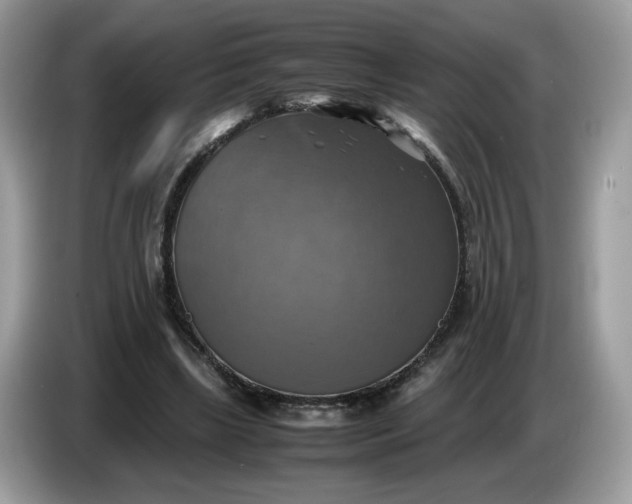 X0000086760443200704271733