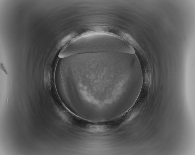 X0000086760444200704271733