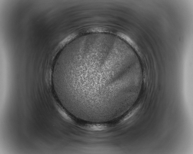 X0000086760445200704271733