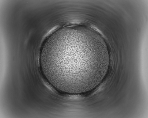 X0000086760446200704271733