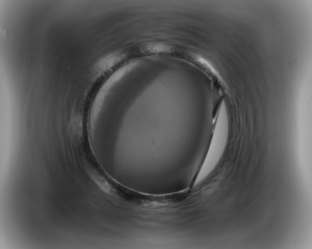 X0000086760447200704271733