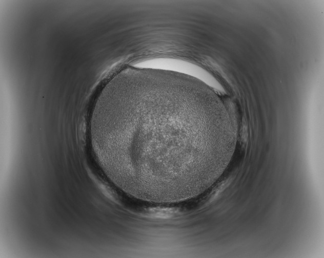 X0000086760448200704271733