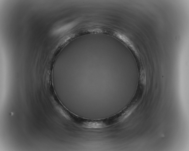 X0000086760449200704271733