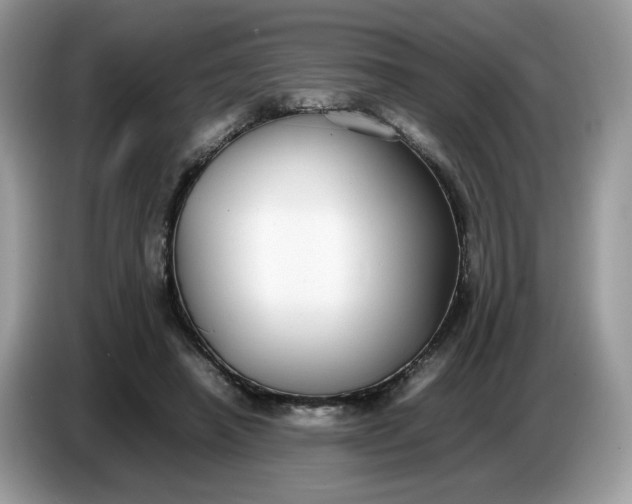 X0000086760450200704271733