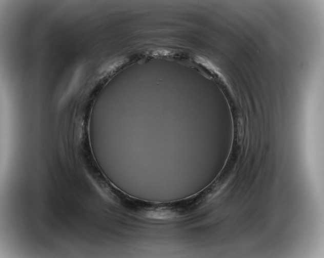 X0000086760451200704271733