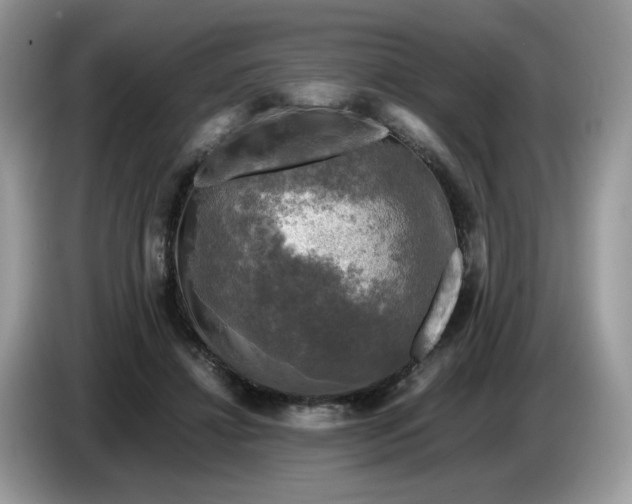 X0000086760452200704271733