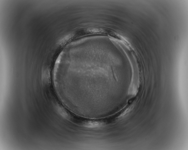 X0000086760453200704271733