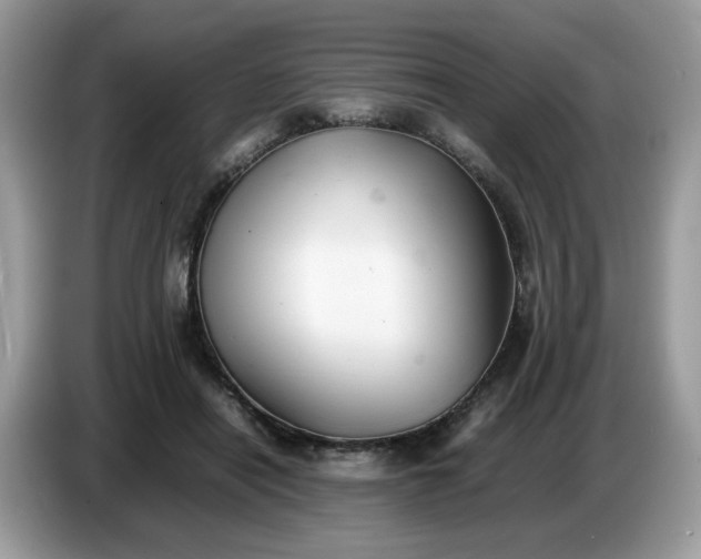 X0000086760454200704271733