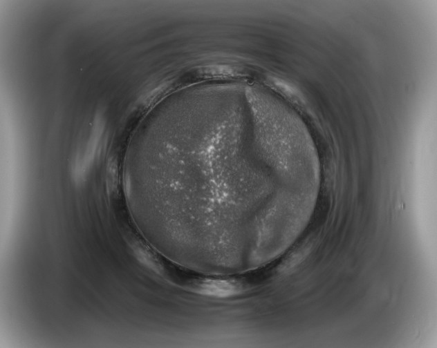 X0000086760457200704271733