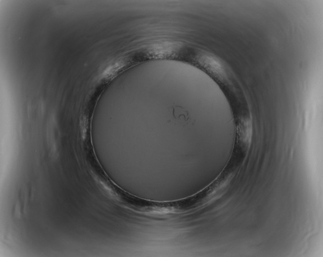 X0000086760458200704271733