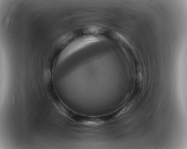 X0000086760459200704271733