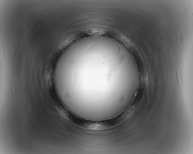 X0000086760460200704271733