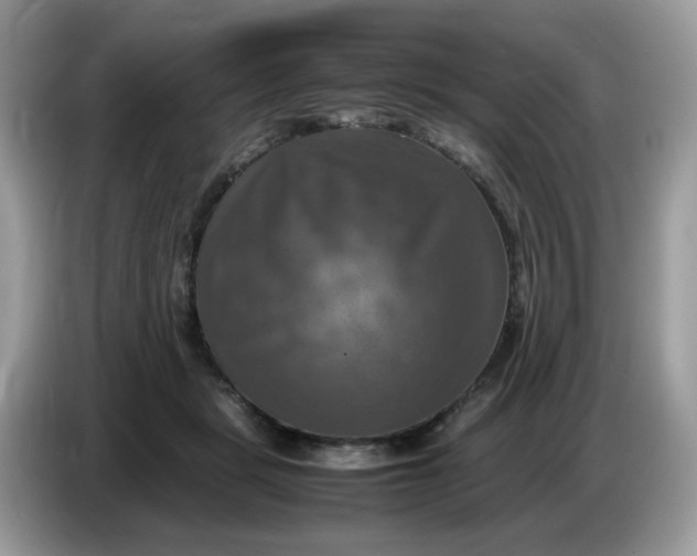 X0000086760461200704271733