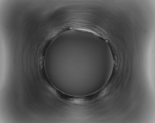 X0000086760462200704271733