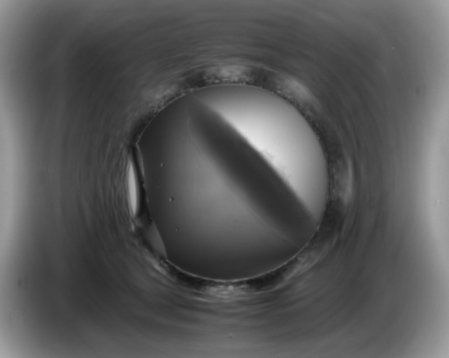 X0000086760465200704271734