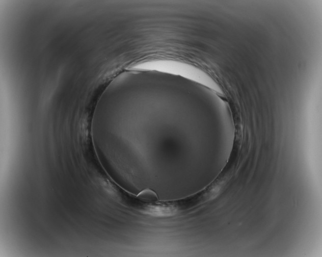 X0000086760466200704271734