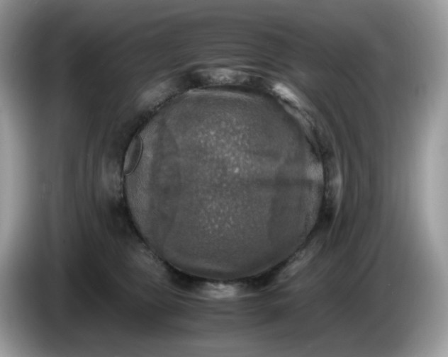 X0000086760469200704271734