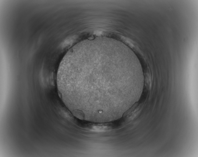 X0000086760470200704271734