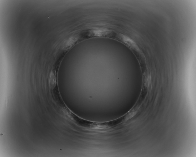 X0000086760471200704271734