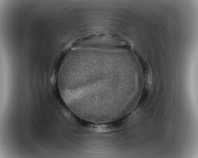 X0000086760472200704271734