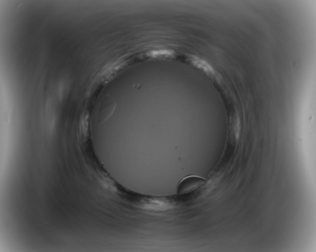 X0000086760475200704271734