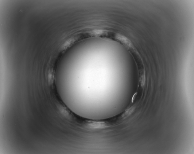 X0000086760476200704271734