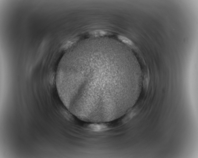 X0000086760477200704271734