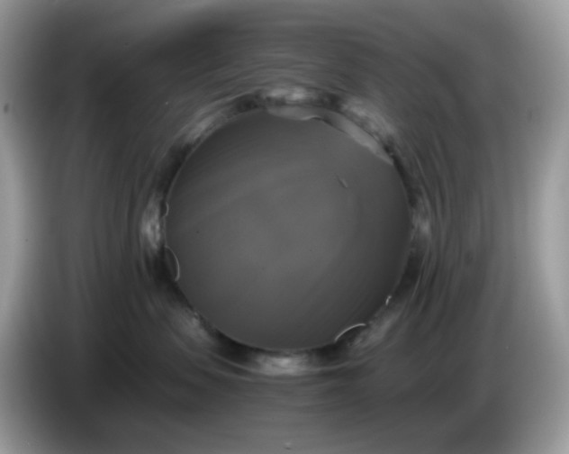 X0000086760479200704271734