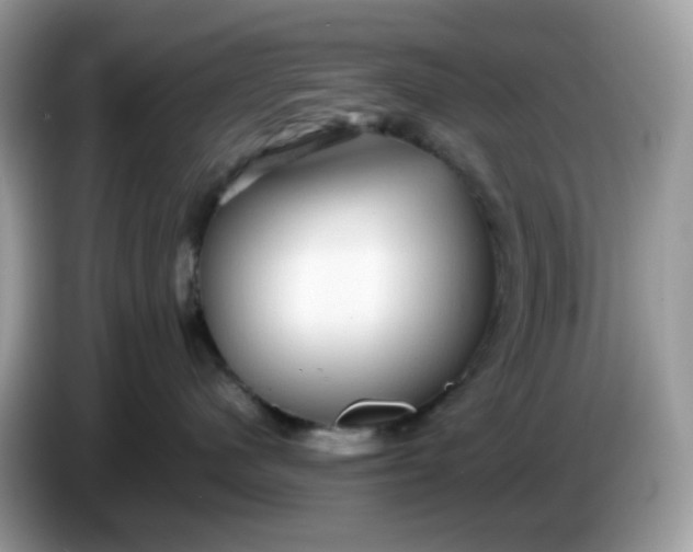 X0000086760480200704271734