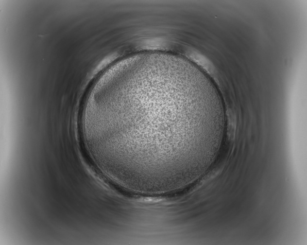 X0000086760482200704271733