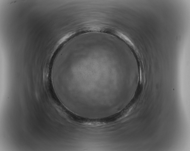 X0000086760483200704271733