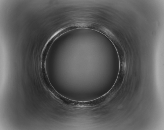 X0000086760484200704271733