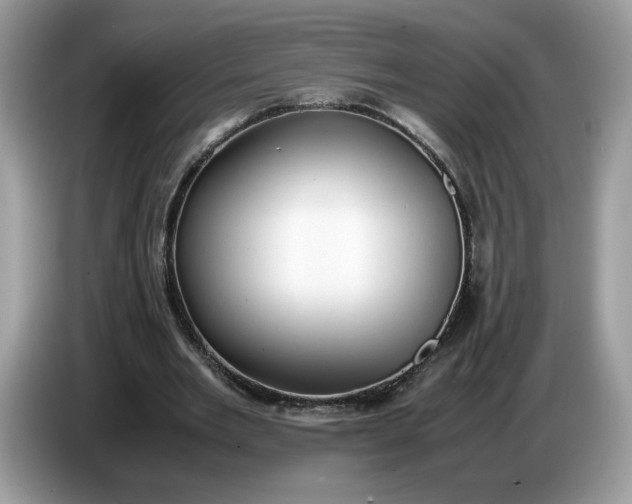 X0000086760485200704271733