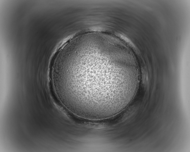 X0000086760486200704271733