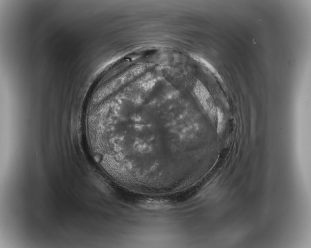 X0000086760487200704271733