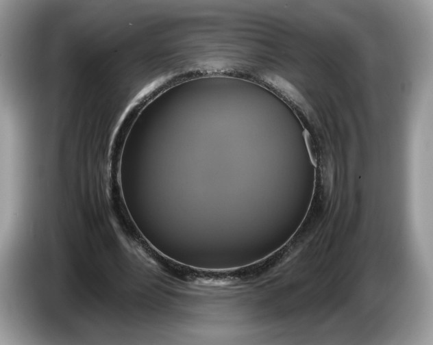 X0000086760488200704271733