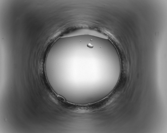 X0000086760489200704271733