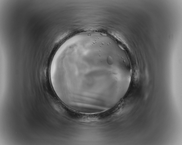 X0000086760491200704271733