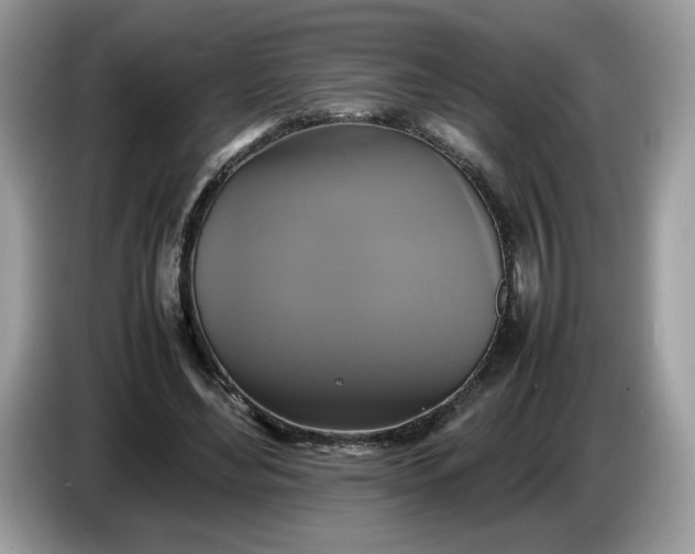 X0000086760492200704271733