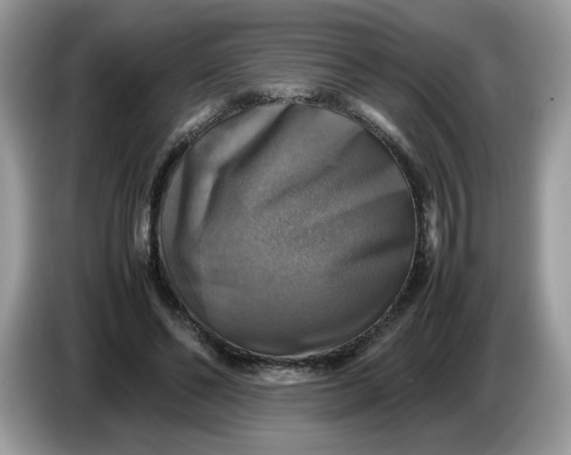 X0000086760494200704271733