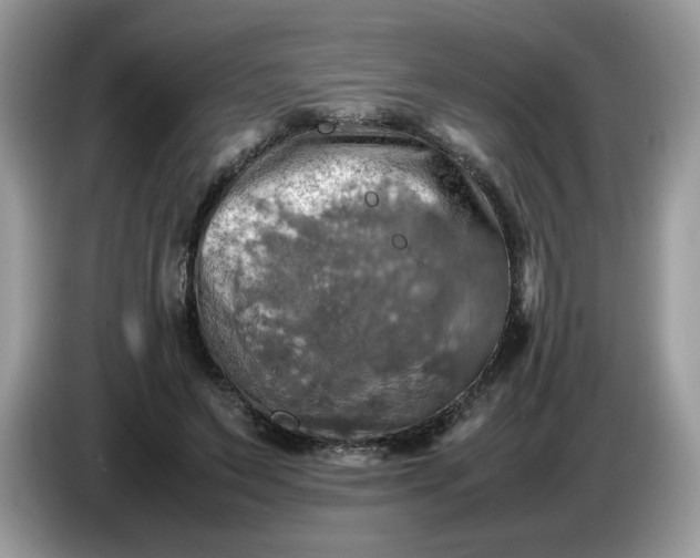 X0000086760495200704271733