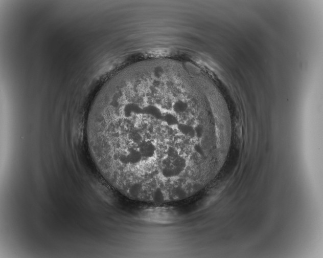 X0000086760499200704271733