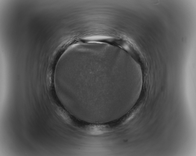 X0000086760501200704271733