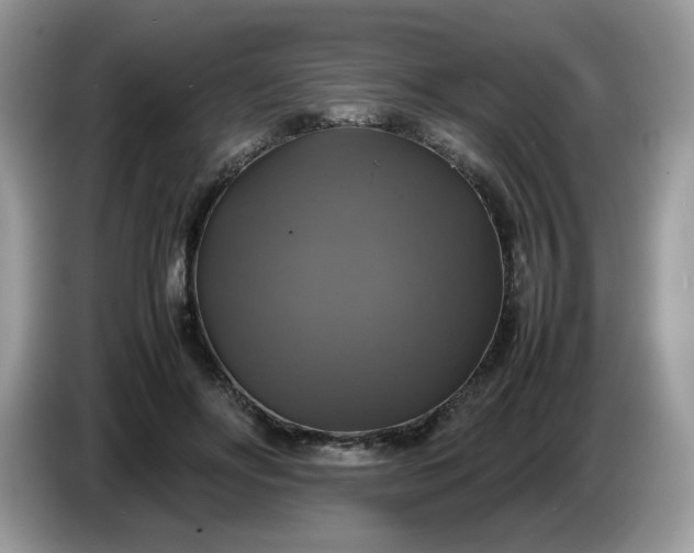 X0000086760502200704271733