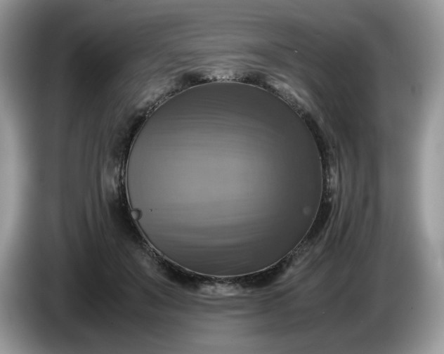 X0000086760503200704271733